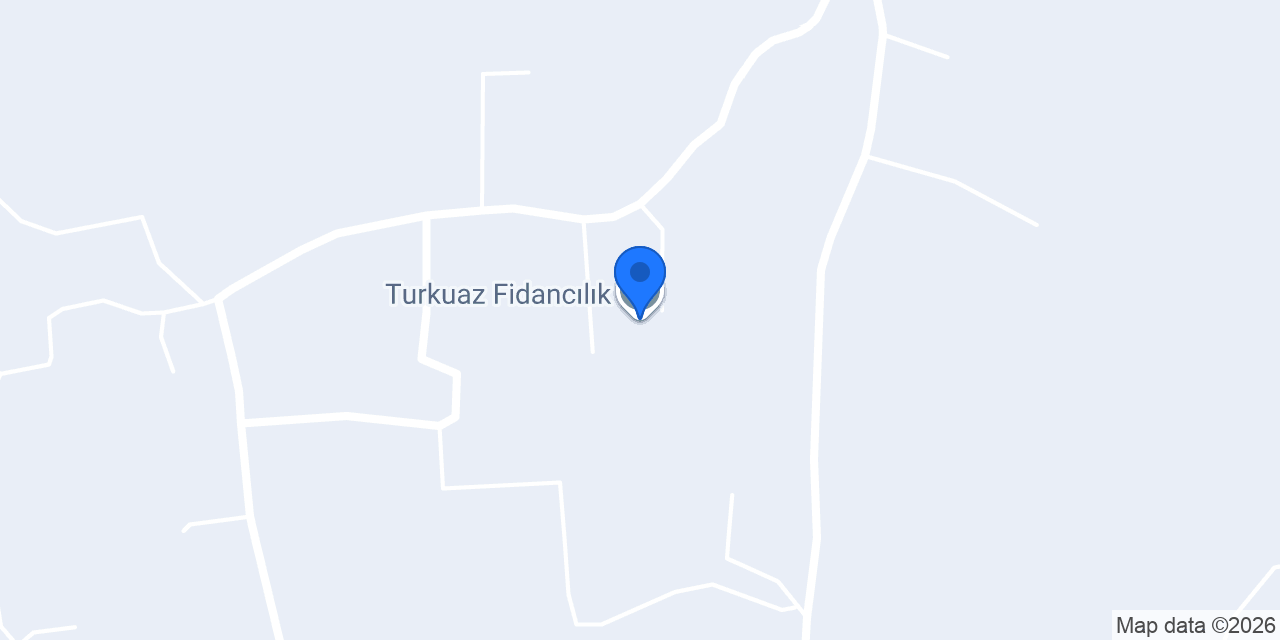 Turkuaz Fidancılık konumu