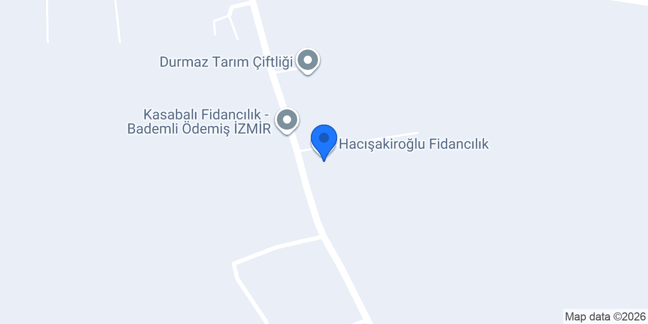 Hacışakiroğlu Fidancılık konumu