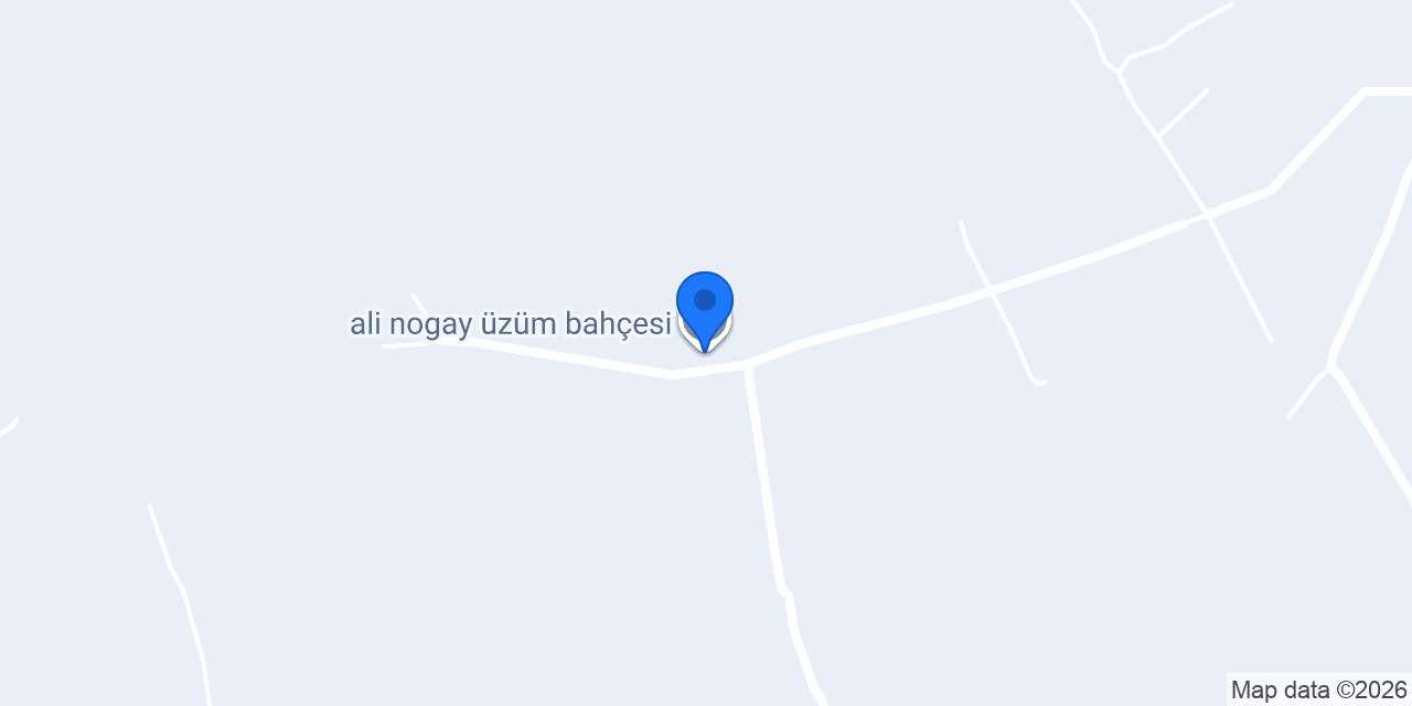 ali nogay üzüm bahçesi konumu