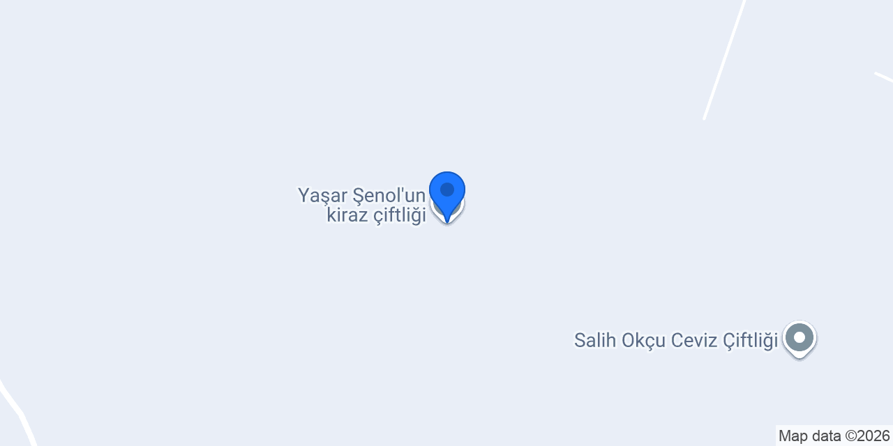 Yaşar Şenol'un kiraz çiftliği konumu