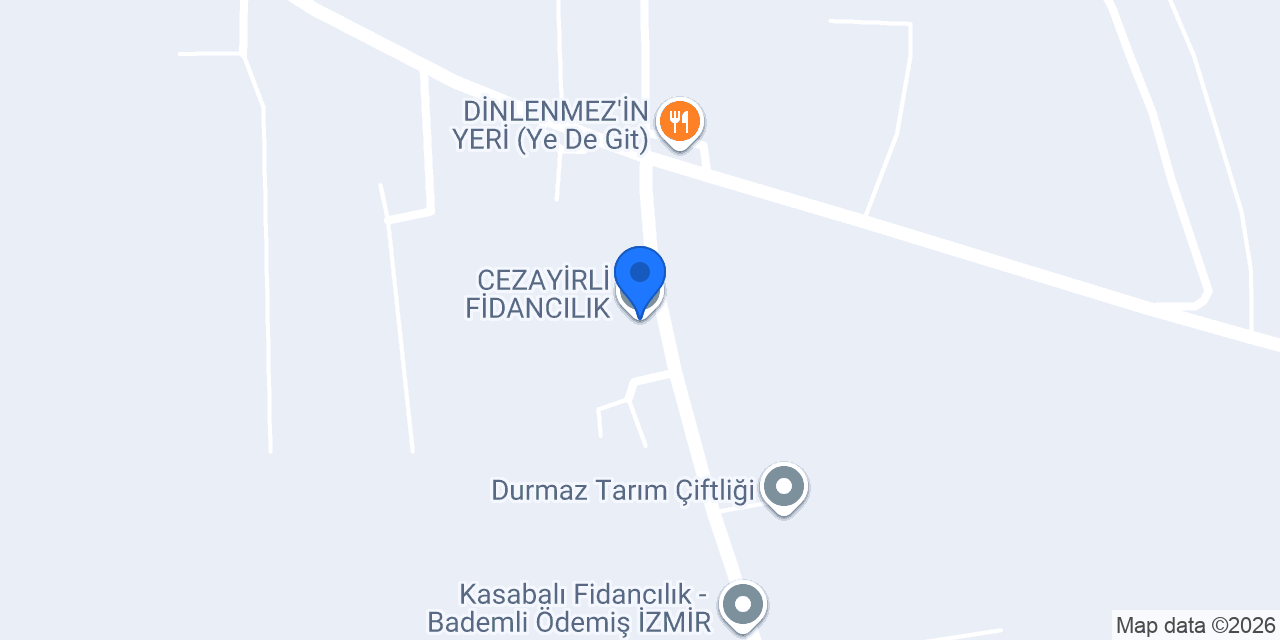 CEZAYİRLİ FİDANCILIK konumu