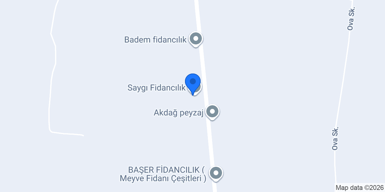 Saygı Fidancılık konumu