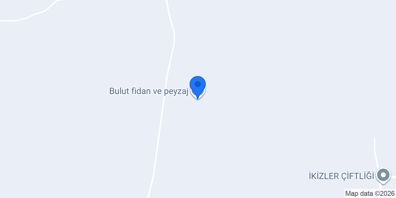 Bulut fidan ve peyzaj konumu