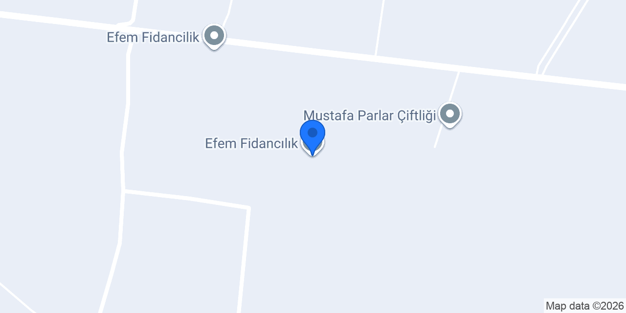 Efem Fidancılık konumu