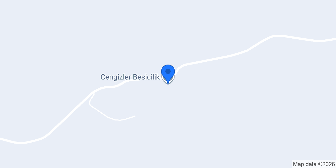 Cengizler Besicilik konumu