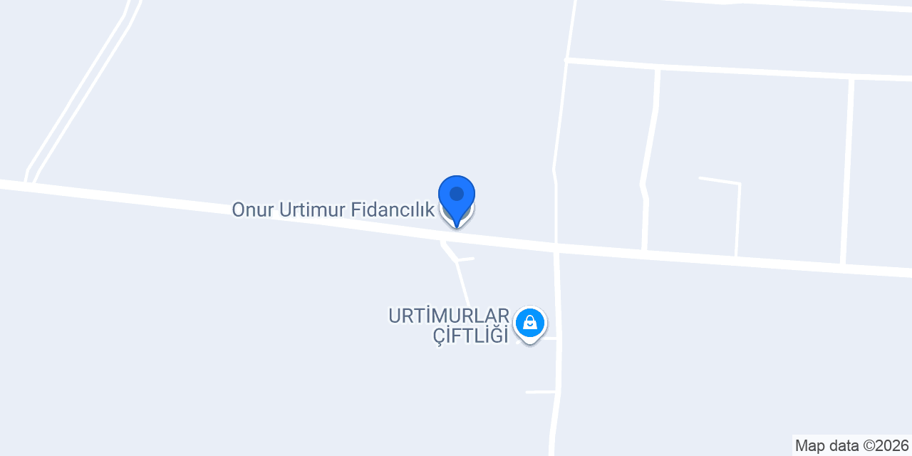Onur Urtimur Fidancılık konumu