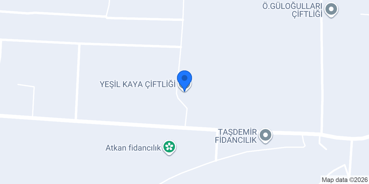 YEŞİL KAYA ÇİFTLİĞİ konumu
