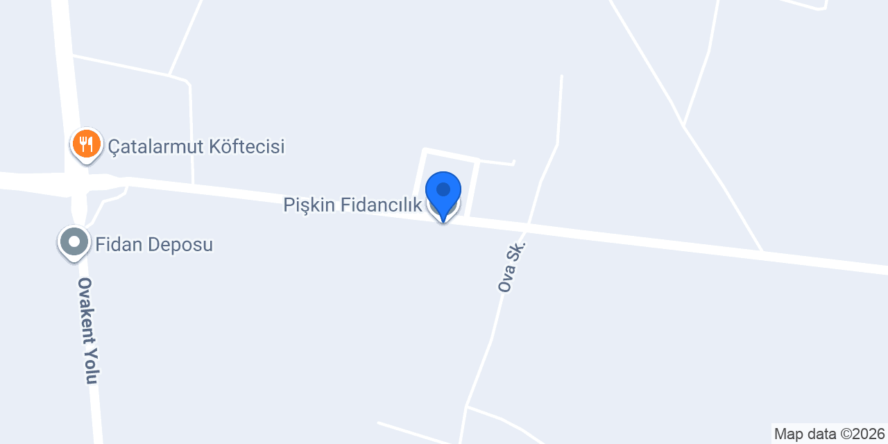 Pişkin Fidancılık konumu