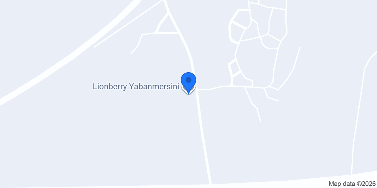 Lionberry Yabanmersini konumu