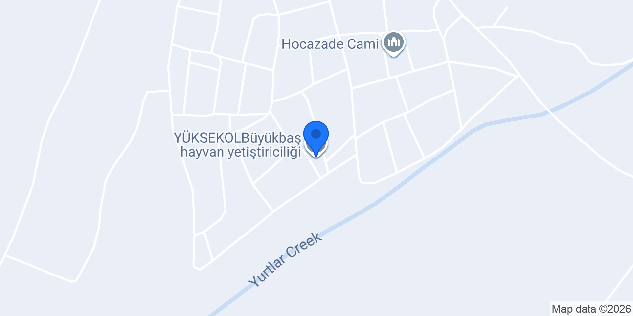 YÜKSEKOLBüyükbaş hayvan yetiştiriciliği konumu