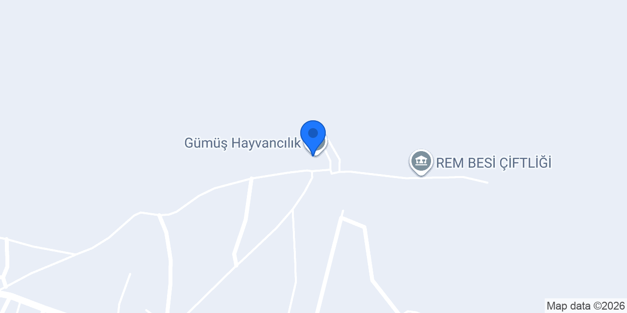 Gümüş Hayvancılık konumu