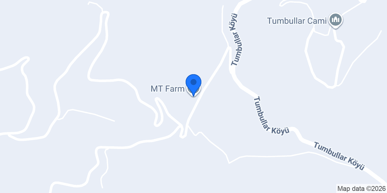 MT Farm konumu