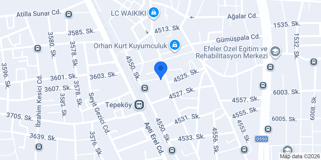 HAKAN HONLUK, SMMM konumu