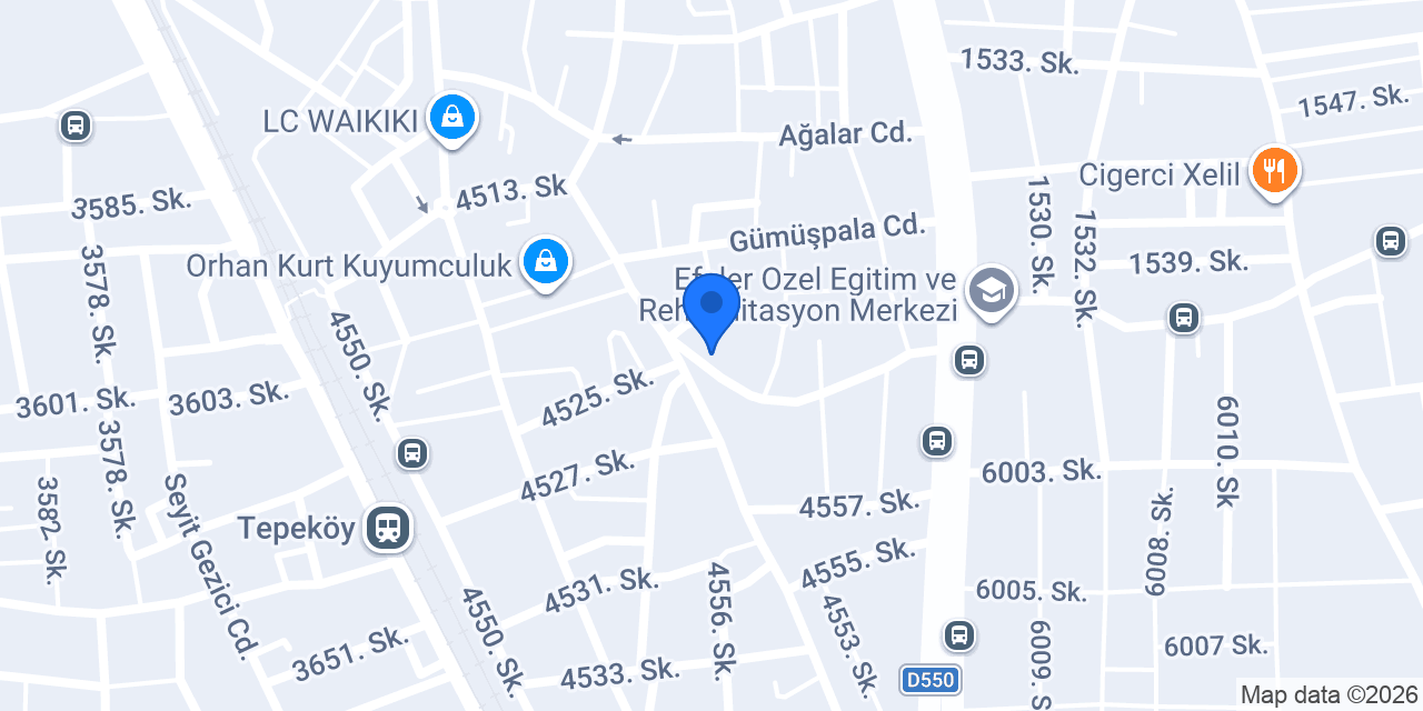 Asmer Rent A Car & Emlak konumu