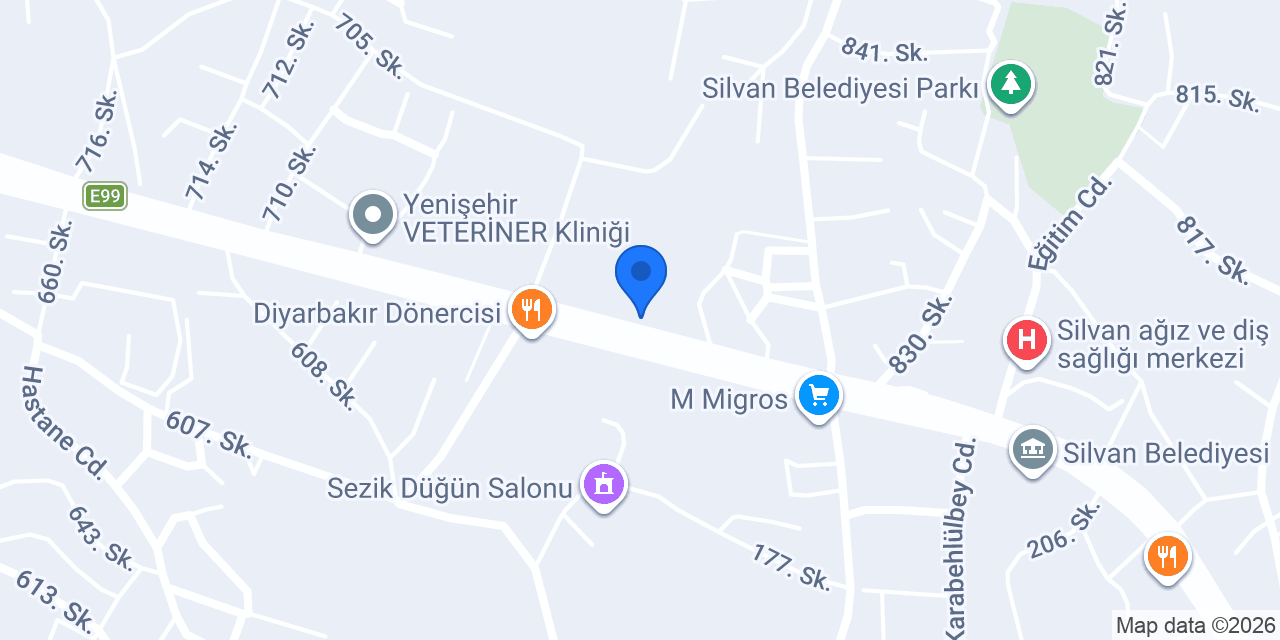 Silvan İlgi Eğitim Kurumu konumu