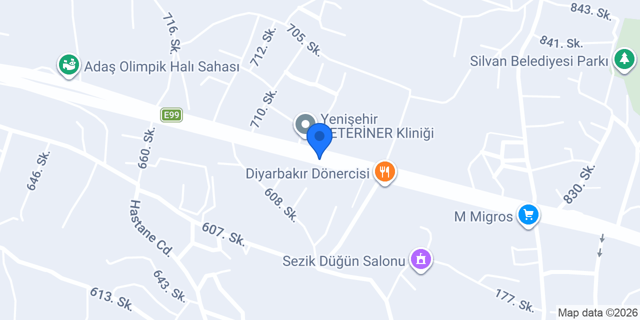 Silvan Ömer Usta Çiğköfte konumu