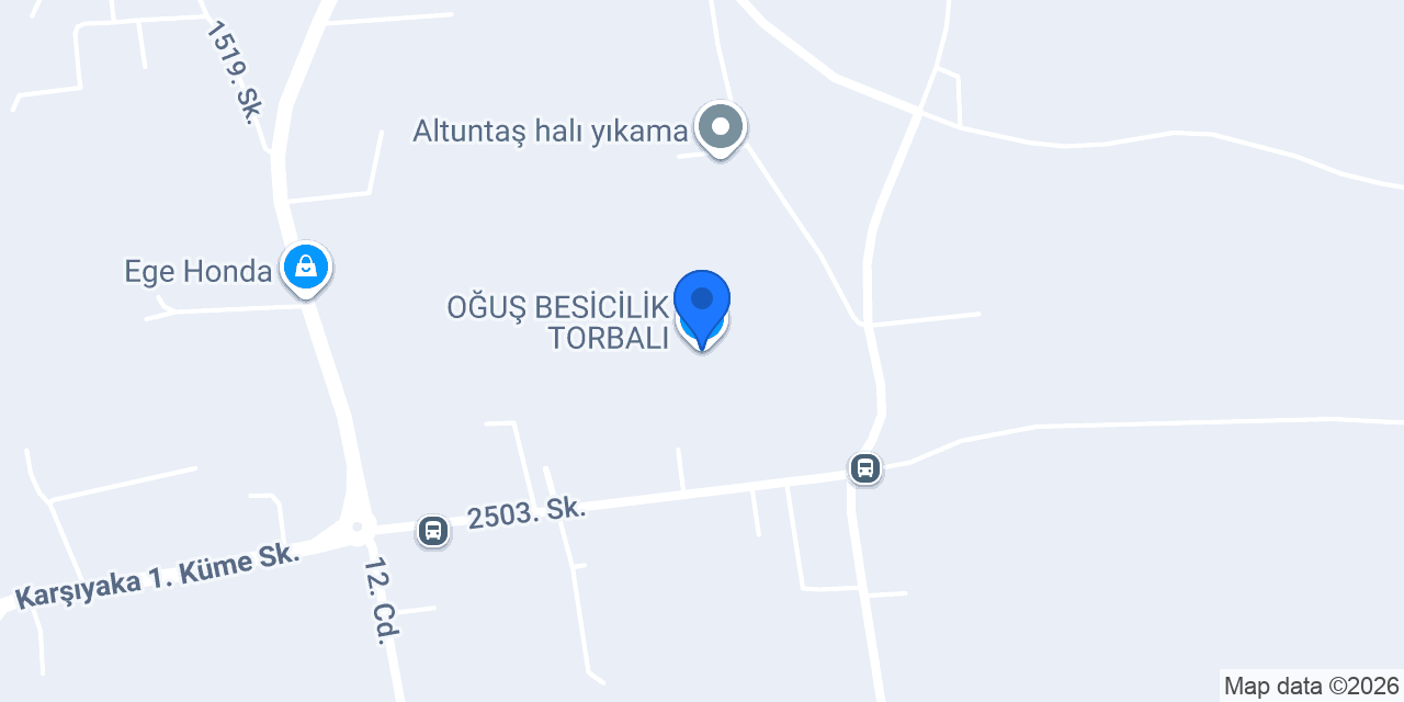 OĞUŞ BESİCİLİK TORBALI konumu