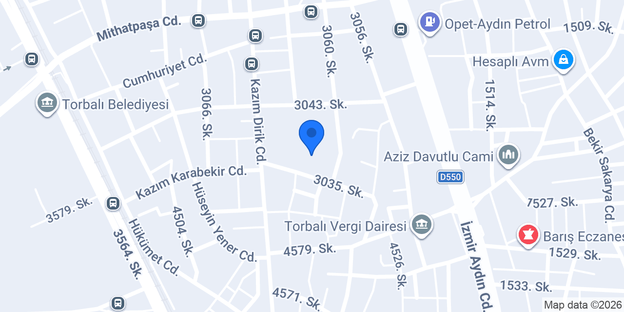 Berfin Akçokrak Anaokulu konumu