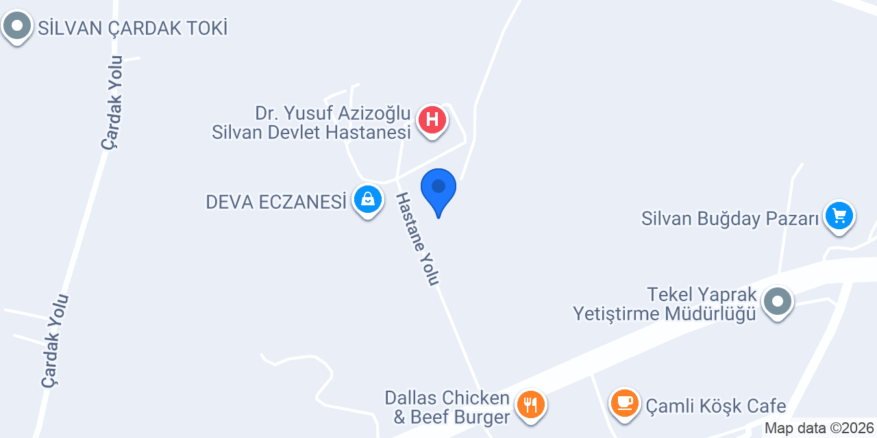 Silvan İşitme Merkezi konumu
