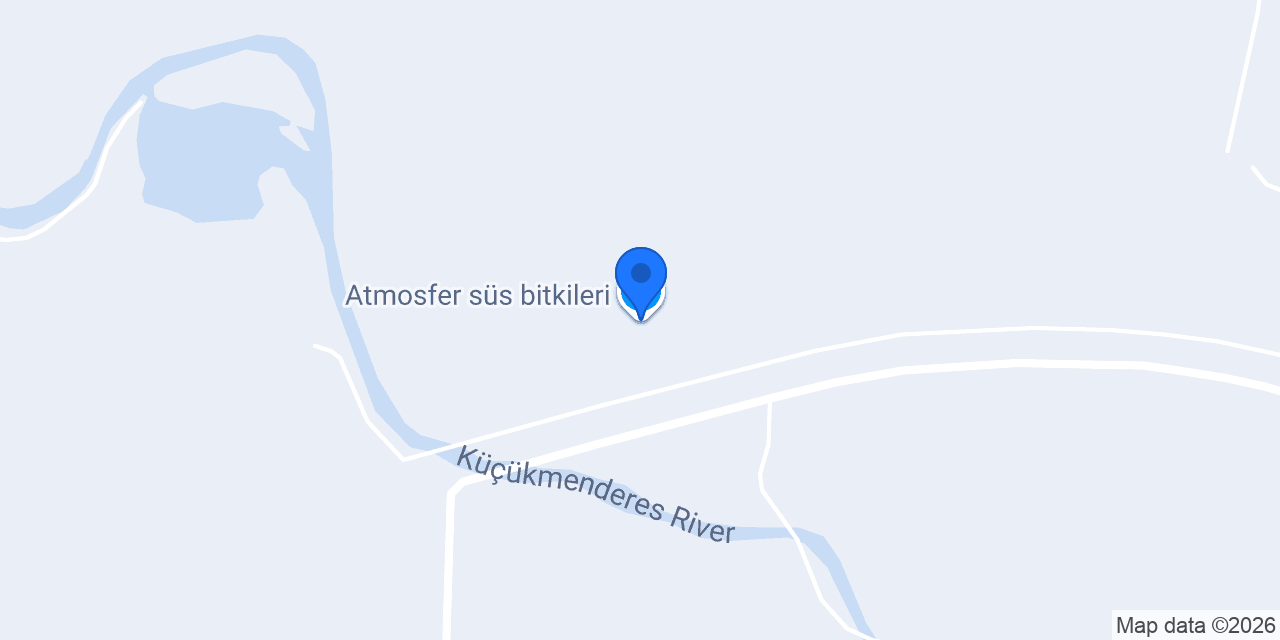 Atmosfer süs bitkileri konumu