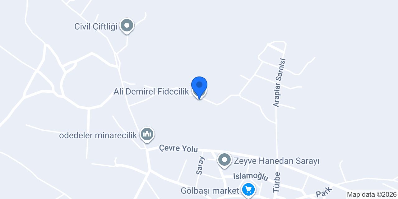 Ali Demirel Fidecilik konumu