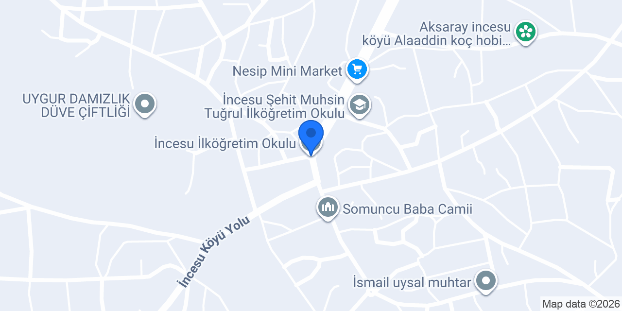 İncesu İlköğretim Okulu konumu