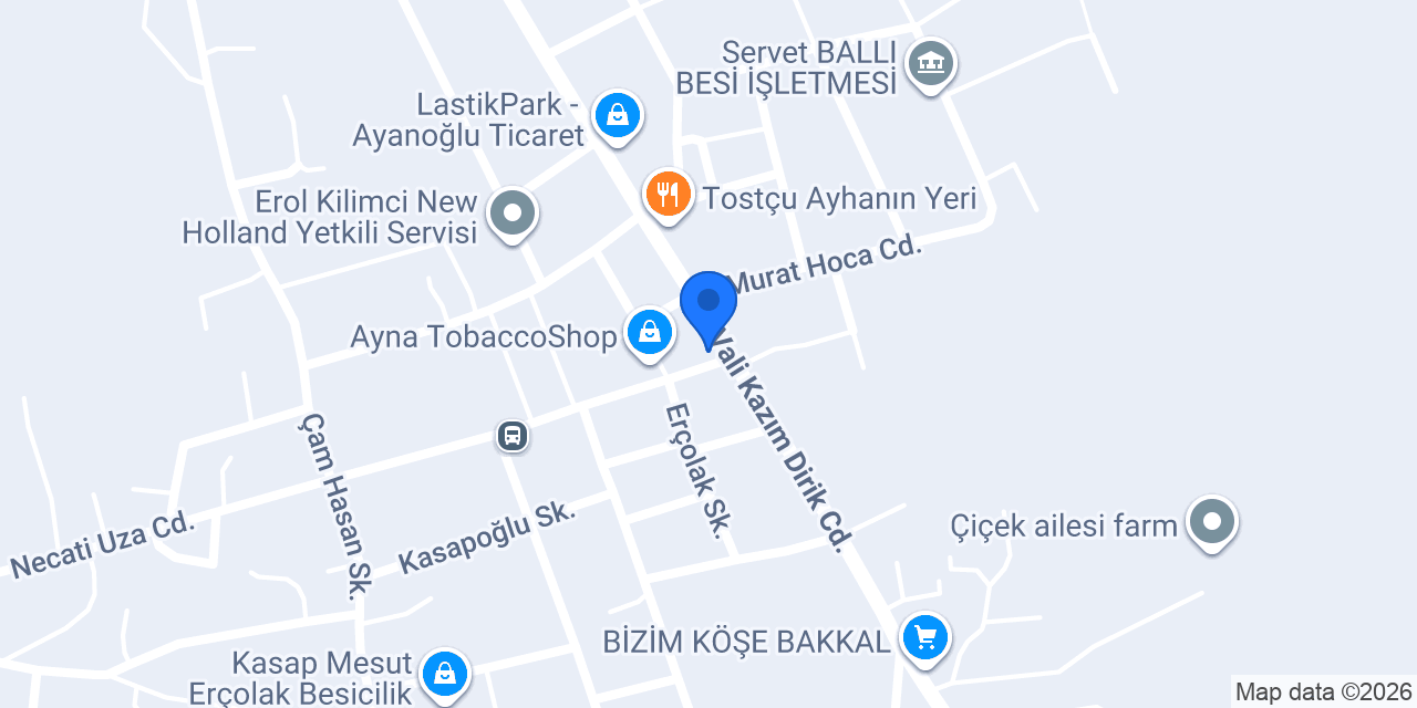 Hasköy İlköğretim Okulu konumu