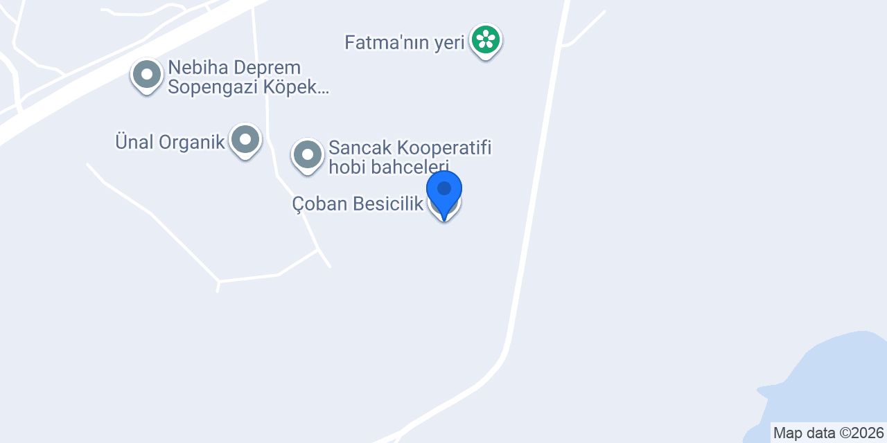 Çoban Besicilik konumu