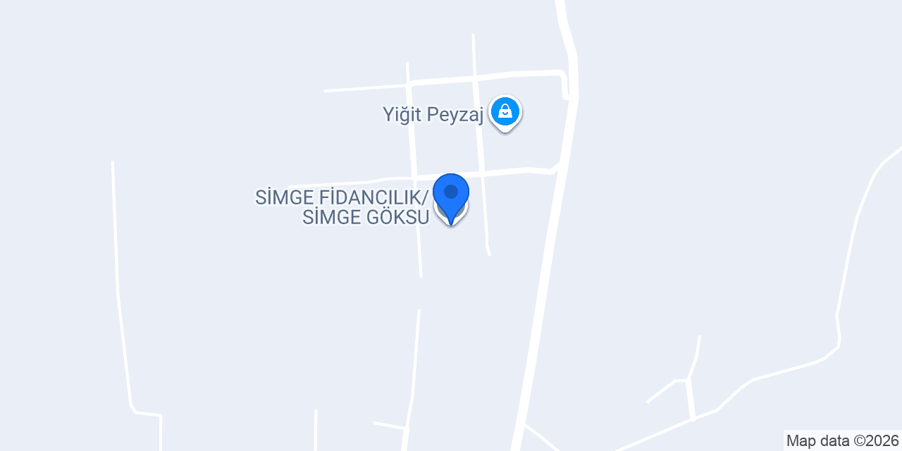 SİMGE FİDANCILIK/SİMGE GÖKSU konumu