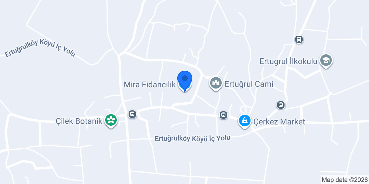 Mira Fidancilik konumu