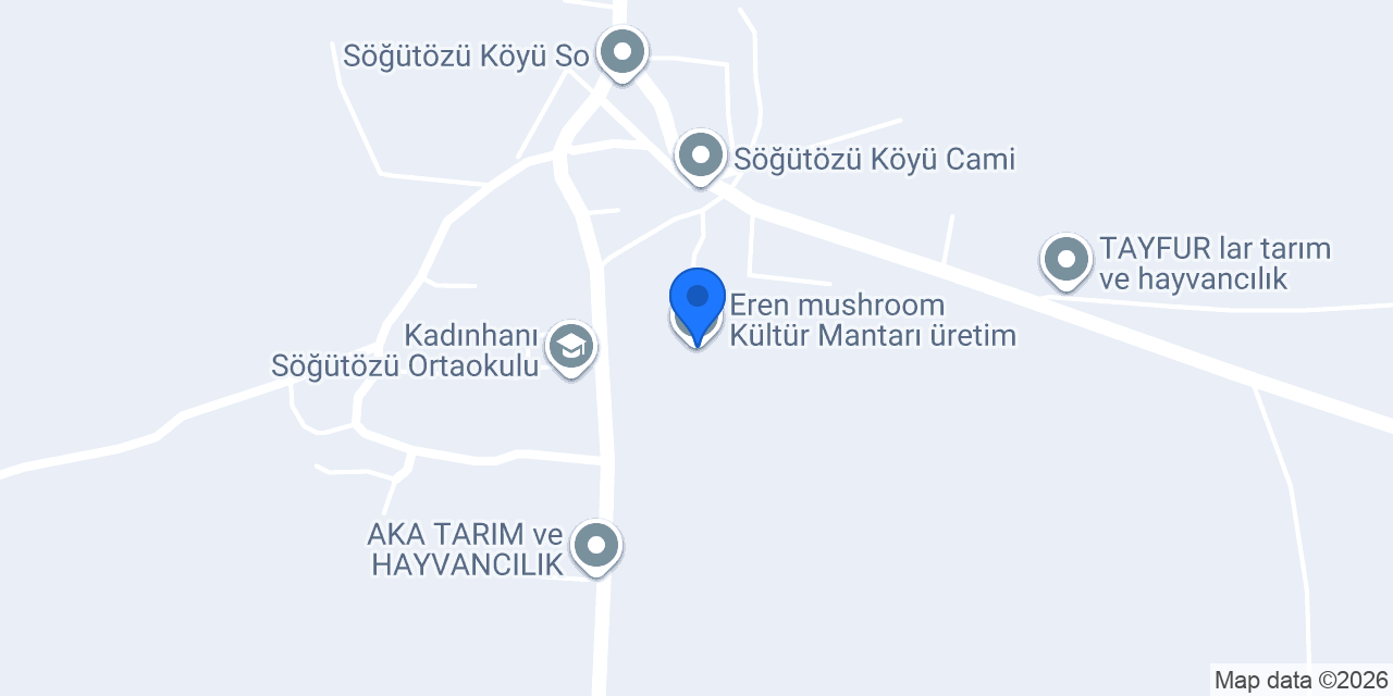 Eren_mushroom Kültür Mantarı üretim konumu
