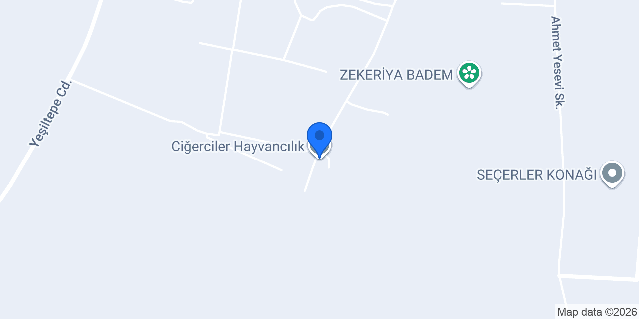 Ciğerciler Hayvancılık konumu