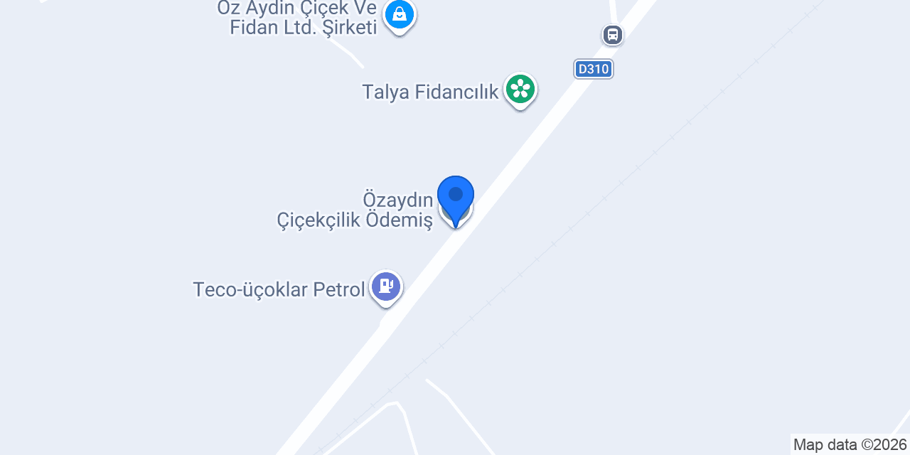 Özaydın Çiçekçilik Ödemiş konumu