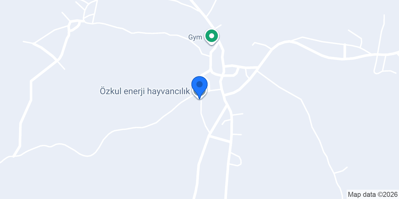 Özkul enerji hayvancılık konumu