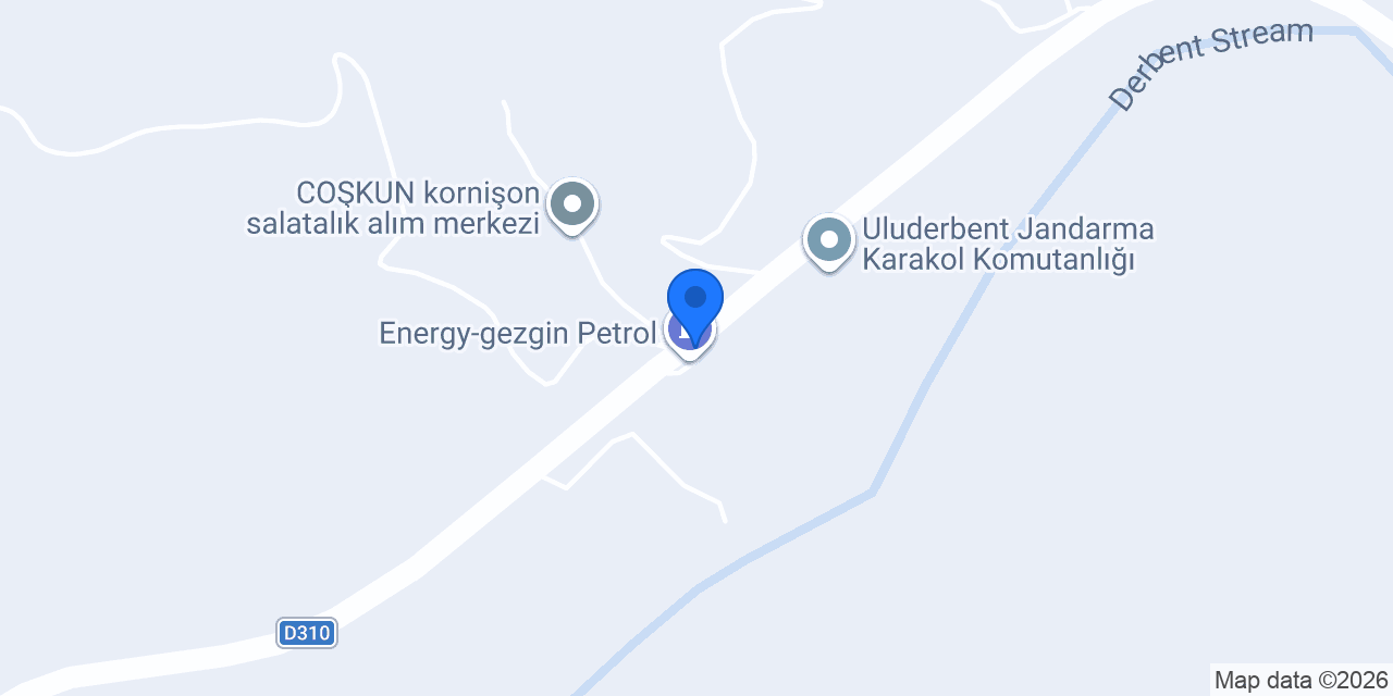 Aslan oto lastik konumu
