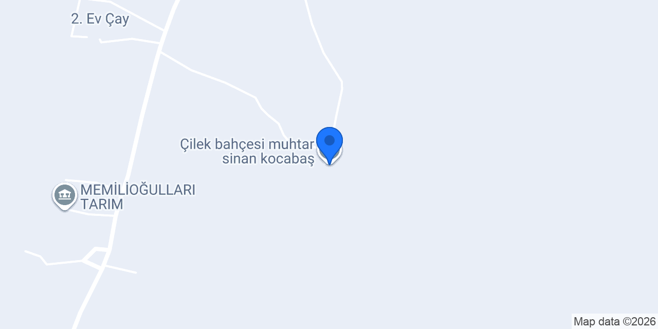 Çilek bahçesi muhtar sinan kocabaş konumu