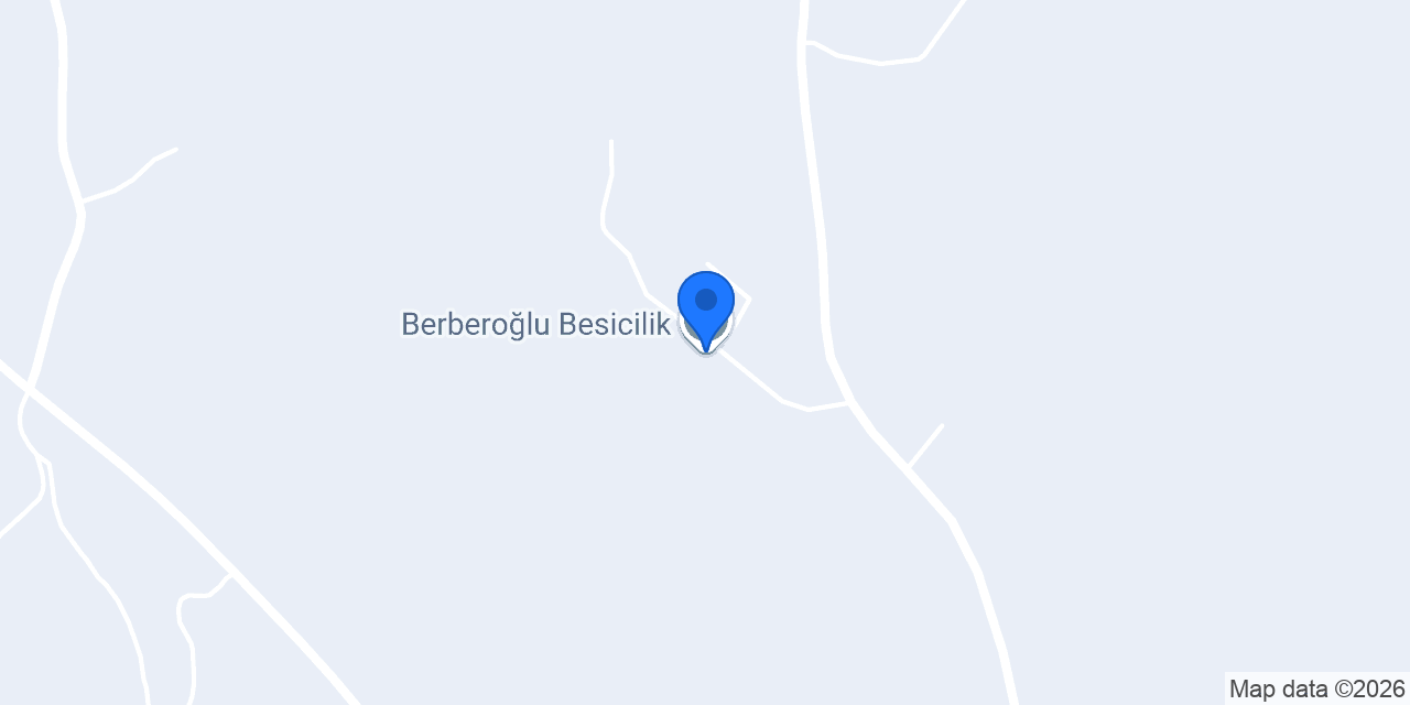 Berberoğlu Besicilik konumu