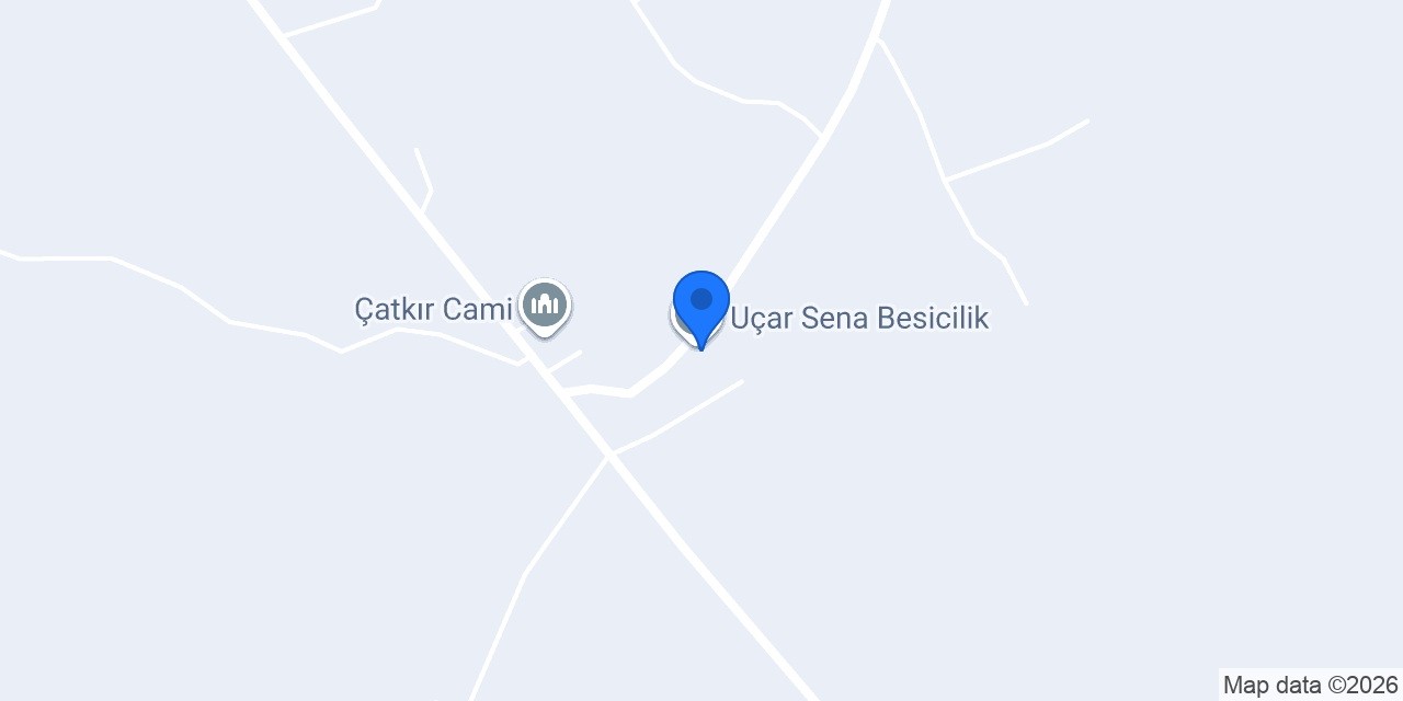 Uçar Sena Besicilik konumu