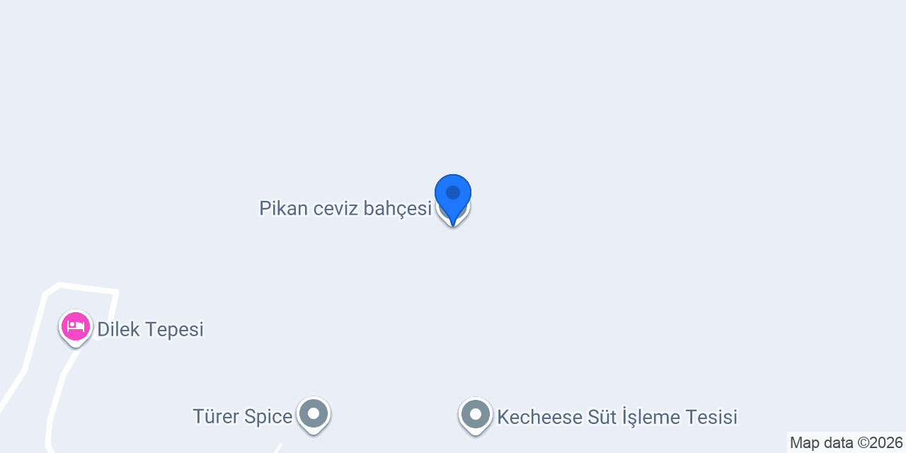 Pikan ceviz bahçesi konumu