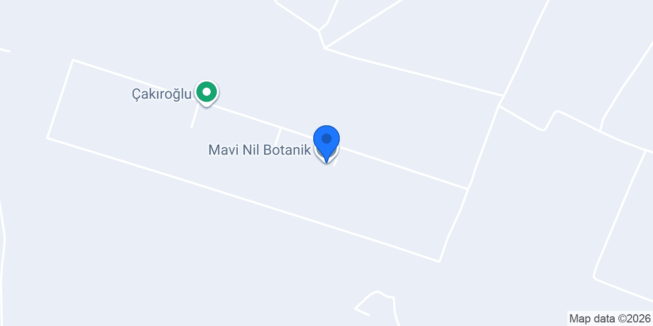 Mavi Nil Botanik konumu