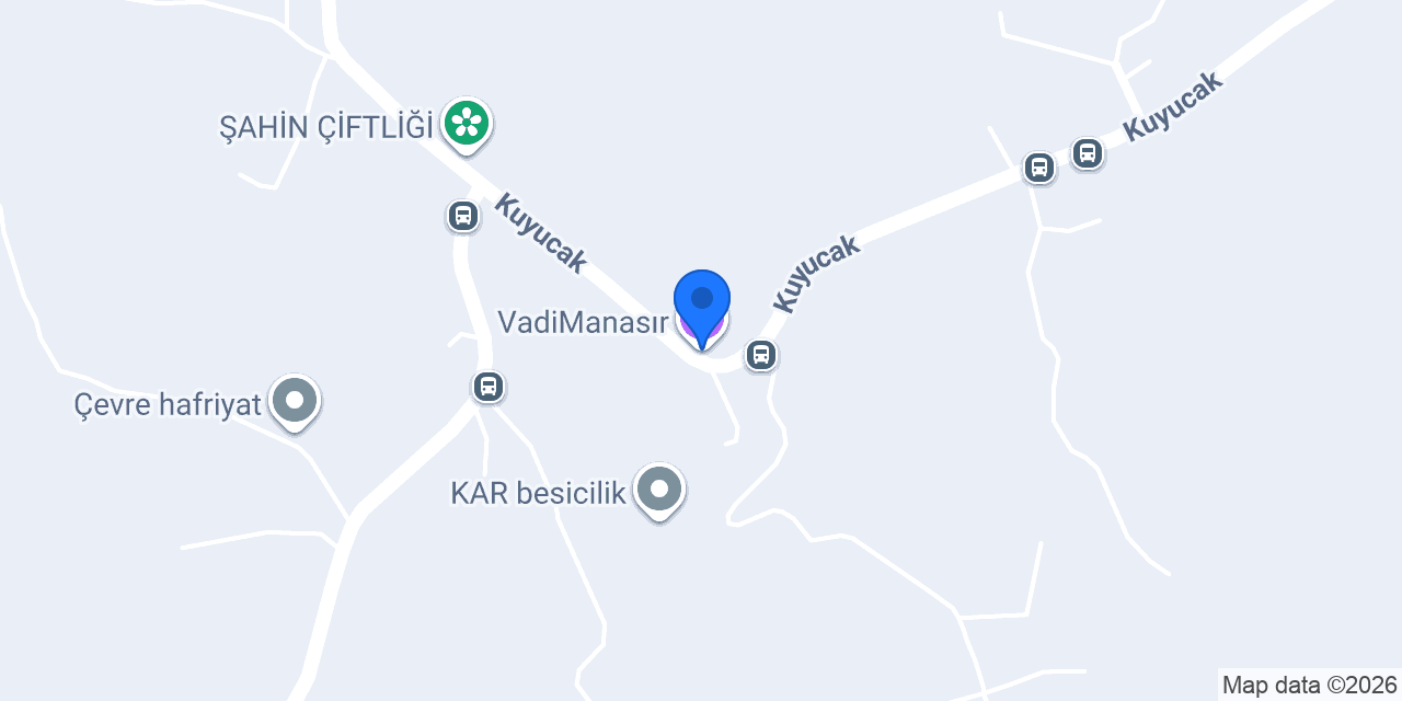 VadiManasır konumu