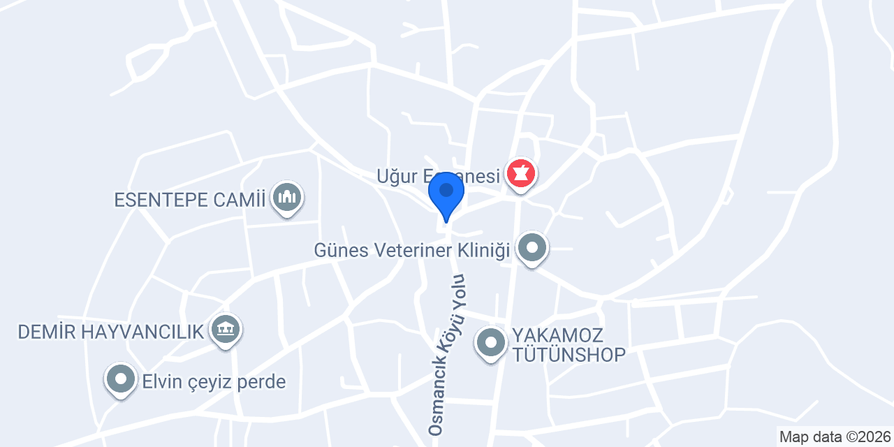 Koç Hayvancılık konumu