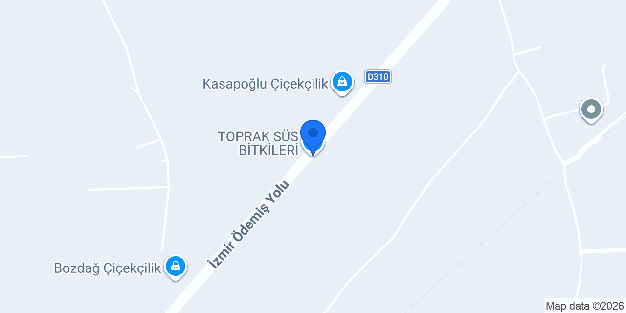 TOPRAK SÜS BİTKİLERİ konumu