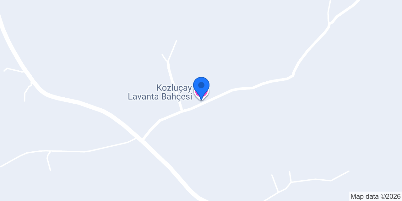 Kozluçay Lavanta Bahçesi konumu
