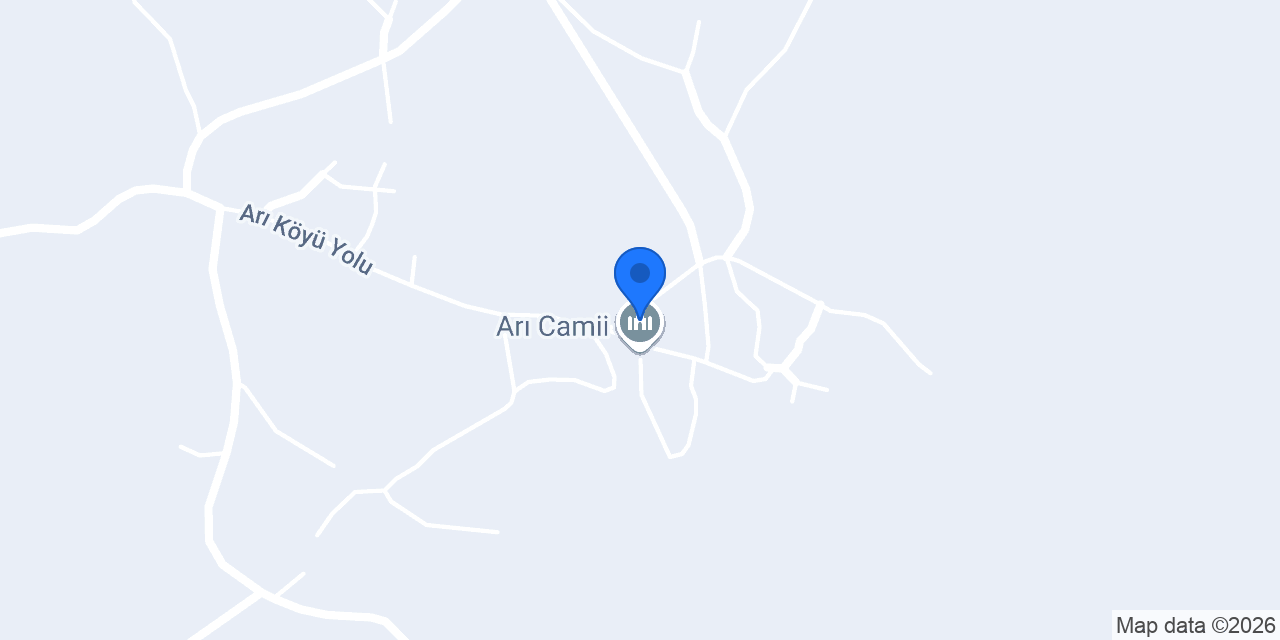 ARI İLKÖĞRETİM OKULU konumu