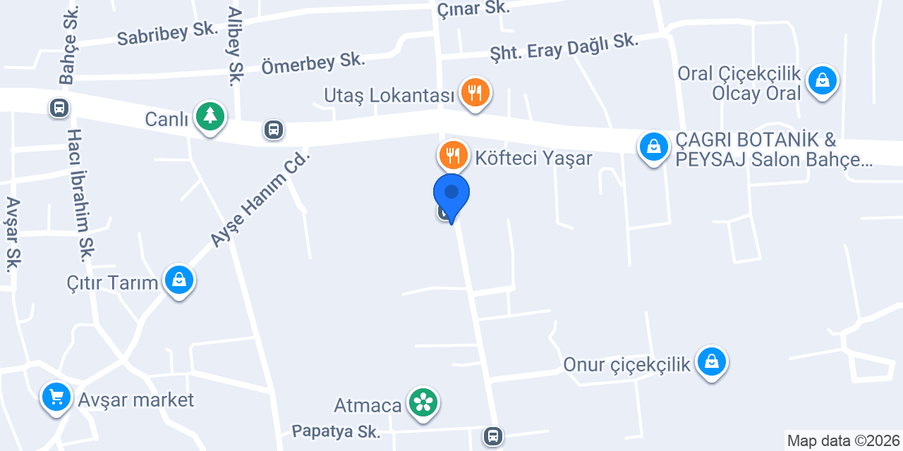 silay ticaret konumu