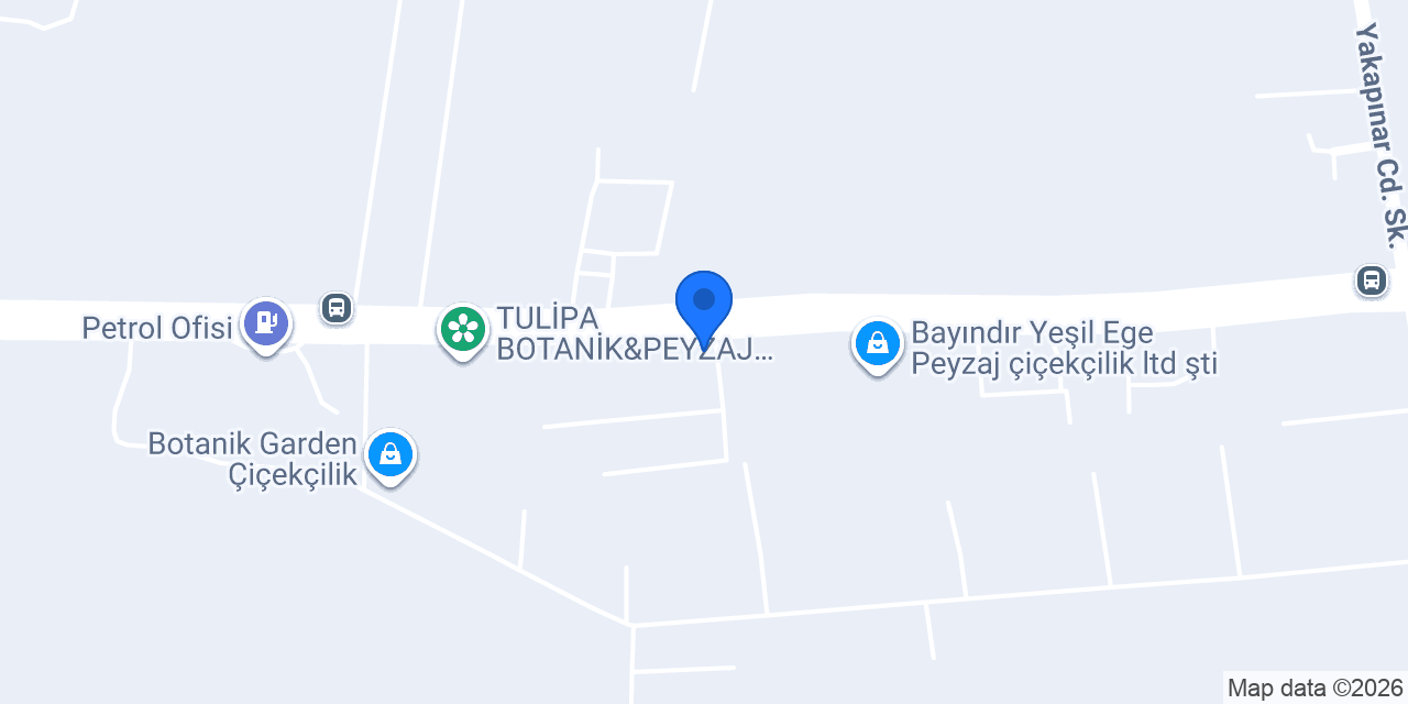 Berr Botanik Peyzaj konumu