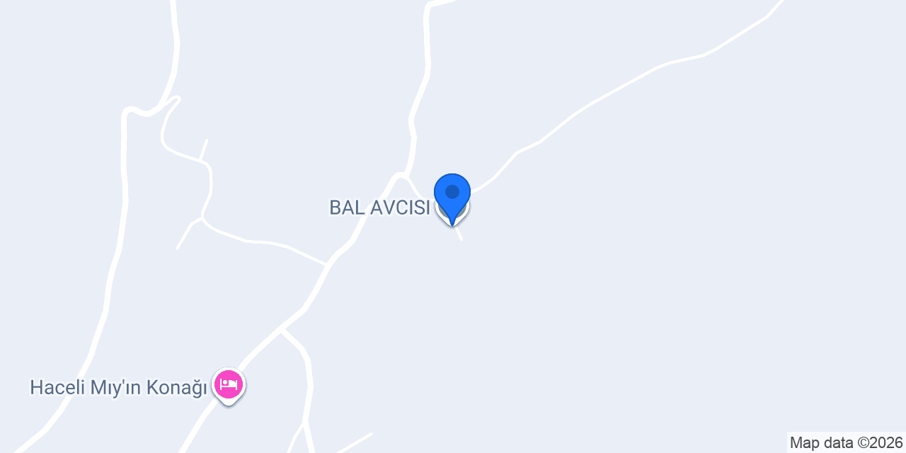 BAL AVCISI konumu