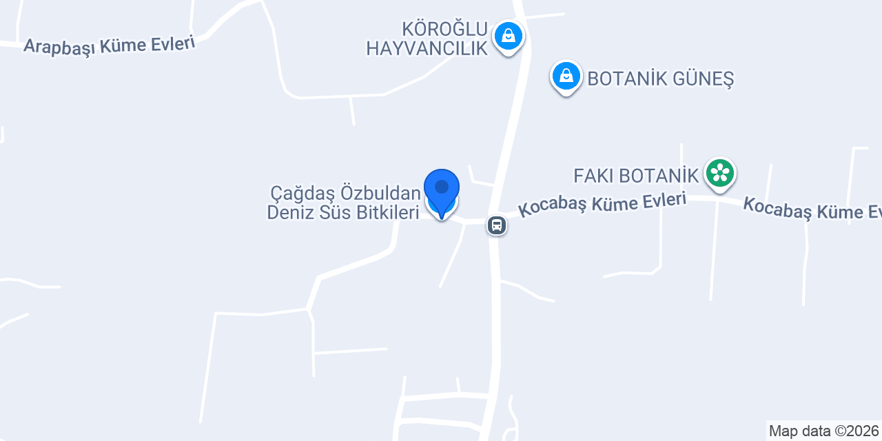 Çağdaş Özbuldan Deniz Süs Bitkileri konumu