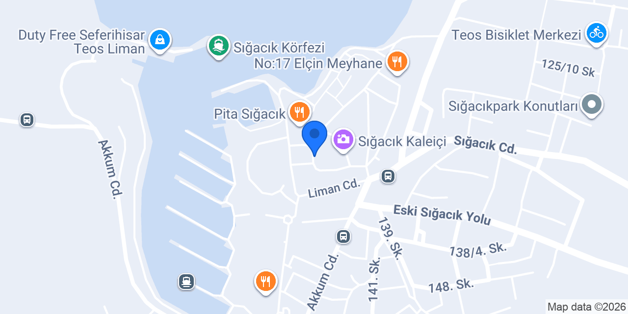 Elit cam sanati konumu